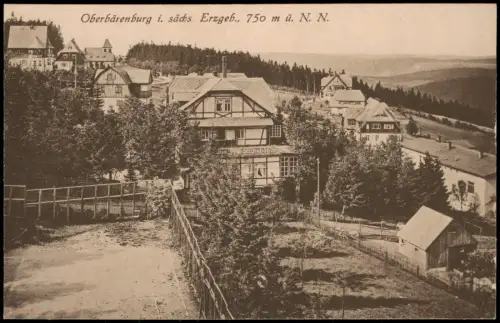 Ansichtskarte Oberbärenburg-Altenberg (Erzgebirge) Stadtpartie Hotel 1920