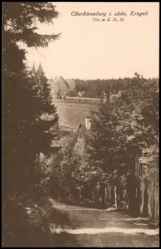Ansichtskarte Oberbärenburg-Altenberg (Erzgebirge) Straßenpartie 1914