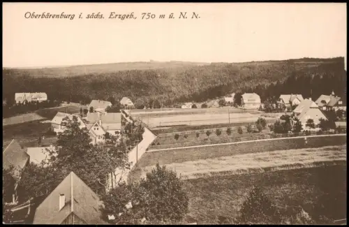 Oberbärenburg-Altenberg (Erzgebirge) Dorfpartie - Dorfstraße 1918