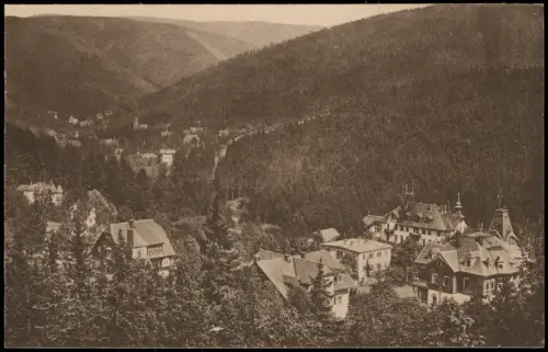 Ansichtskarte Bärenfels (Erzgebirge)-Altenberg (Erzgebirge) Stadtblick 1913