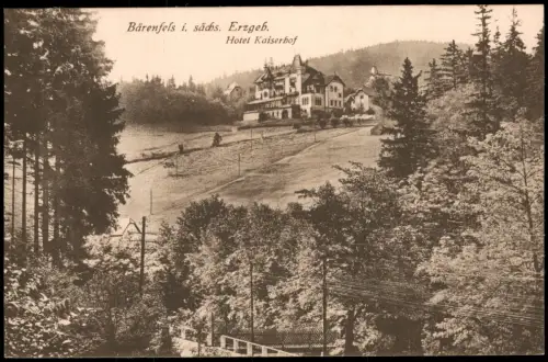 Bärenfels (Erzgebirge)-Altenberg (Erzgebirge) Hotel Kaiserhof 1913