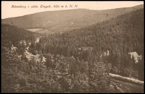 Ansichtskarte Bärenburg-Altenberg (Erzgebirge) Stadtpartie 1914
