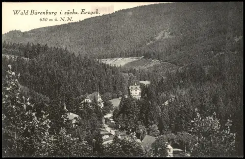 Ansichtskarte Bärenburg-Altenberg (Erzgebirge) Stadtpartie 1914
