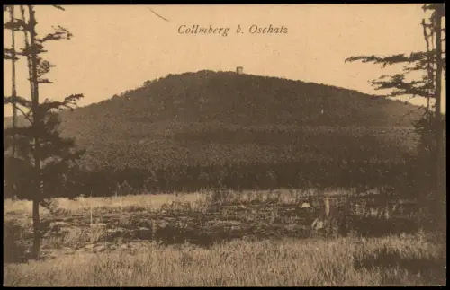 Ansichtskarte Collm-Wermsdorf Collmberg 1920