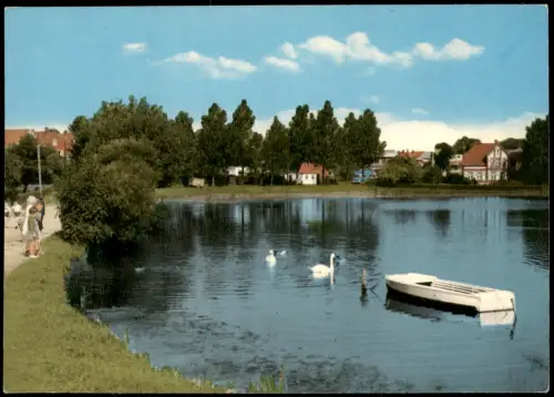 Ansichtskarte Bredstedt Mühlenteich Partie, Kinder bestaunen Schwäne 1960