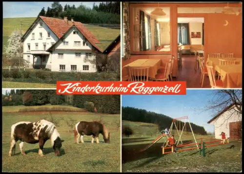 Neuravensburg-Wangen Allgäu Kinderkurheim Hofgut Kees 4B Pony Spielplatz 1974