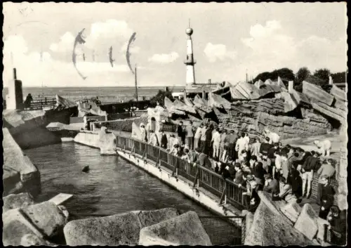 Ansichtskarte Bremerhaven Tiergrotten - Fotokarte 1958