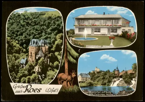 Ansichtskarte Roes/Eifel Mehrbildkarte Privatpension Birkenhof 1974