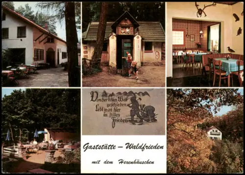 Ansichtskarte Bad Salzdetfurth Waldgaststätte Waldfrieden 1971