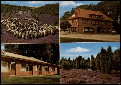 Ansichtskarte Volkwardingen-Bispingen 4 Bild Schafherde, Gasthaus Lüdtke 1971