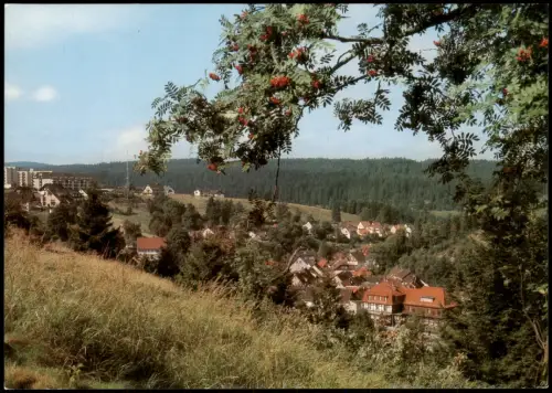 Altenau-Clausthal-Zellerfeld Panorama Teilansicht, Ort Altenau Oberharz 1983