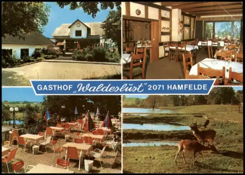 Hamfelde (Stormarn) Mehrbildkarte Gasthof Waldeslust Bes. Klaus Koops 1970