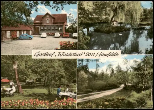 Hamfelde (Stormarn) Mehrbild-AK Gasthof Waldeslust Bes. K. Koops 1965