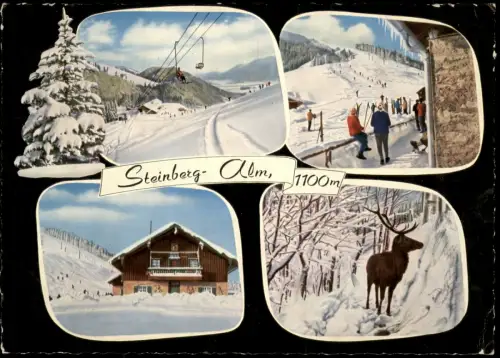 Ansichtskarte Ruhpolding Umland-Ansichten, Steinberg-Alm, Ski-Paradies 1961