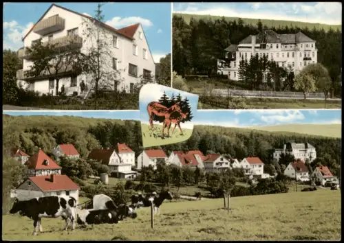 Ansichtskarte Wenzigerode-Bad Wildungen Cafe Friedrich 4 Bild 1978