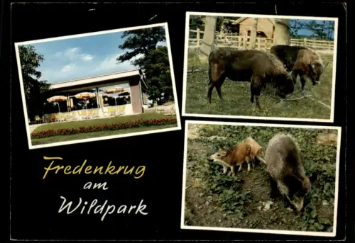 Ansichtskarte Fredeburg (Hochsauerland) 3 Bild Wildpark Bison Gaststätte 1971