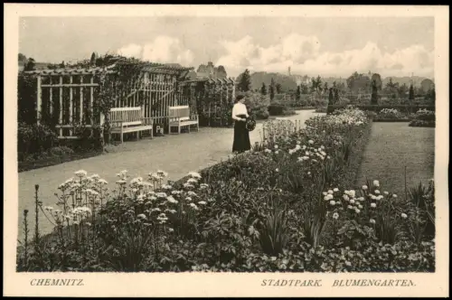 Ansichtskarte Chemnitz Stadtpark Frau Blumengarten 1914
