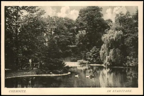 Ansichtskarte Chemnitz Stadtpark Schwäne 1914