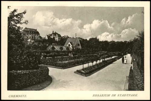 Ansichtskarte Chemnitz Stadtpark Rosarium Häuser 1914