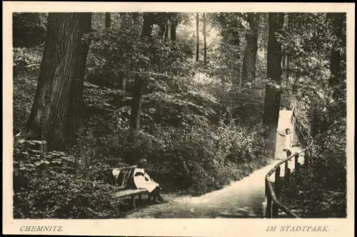 Ansichtskarte Chemnitz Stadtpark Weg hohe Bäume Mädchen 1914