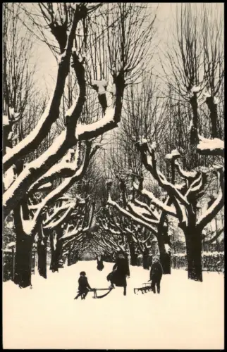 Ansichtskarte Großschweidnitz (OL) Swóńca Lindenallee im Winter 1914