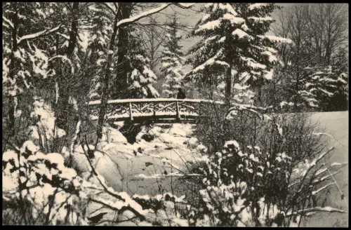 Ansichtskarte Großschweidnitz (OL) Swóńca Parkpartie im Winter 1914