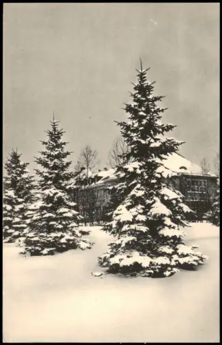 Großschweidnitz (OL) Swóńca Landesanstalt Tanne im Winter 1914