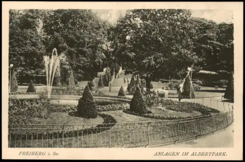 Ansichtskarte Freiberg (Sachsen) Albertpark Springbrunnen 1924