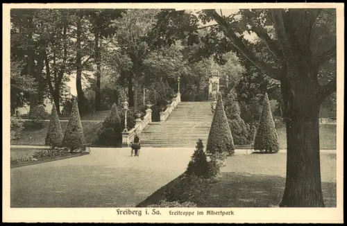 Ansichtskarte Freiberg (Sachsen) Freitreppe im Albertpark 1924
