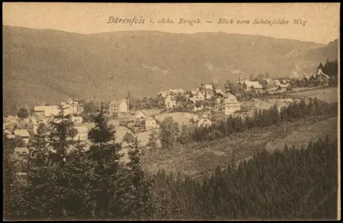 Bärenfels (Erzgebirge)-Altenberg (Erzgebirge) Blick vom Schönfelder Weg 1922