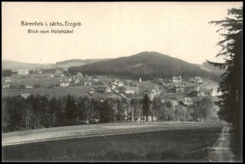 Bärenfels (Erzgebirge)-Altenberg (Erzgebirge) Blick vom Hofehübel 1914