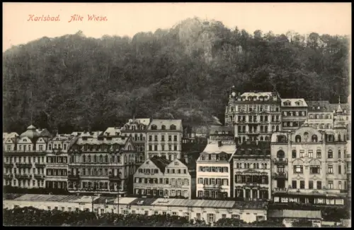 Postcard Karlsbad Karlovy Vary Alte Wiese 1914