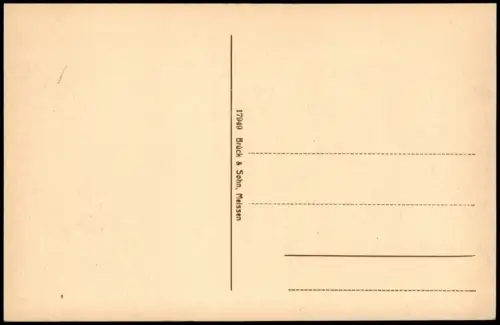 Postcard Karlsbad Karlovy Vary Alte Wiese 1914