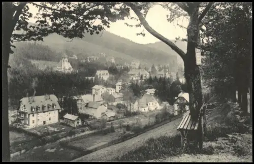 Kipsdorf-Altenberg (Erzgebirge) Blick von der Bank auf die Stadt 1915