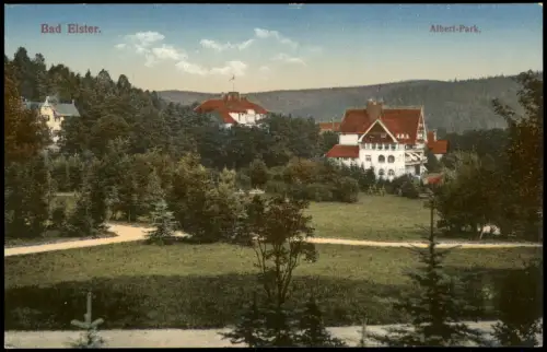 Ansichtskarte Bad Elster Stadthäuser Albertpark 1914