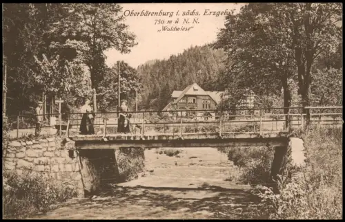 Ansichtskarte Oberbärenburg-Altenberg (Erzgebirge) Gasthaus "Waldwiese" 1922