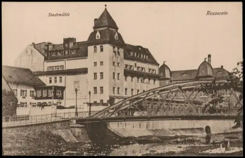 Ansichtskarte Roßwein Stadtmühle 1919