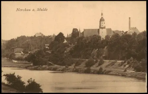 Ansichtskarte Nerchau-Grimma Stadtblick 1920