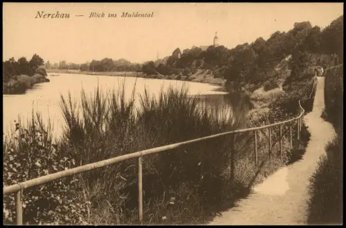 Ansichtskarte Nerchau-Grimma Blick ins Muldental 1920