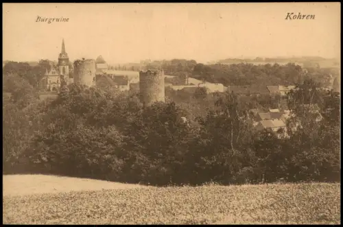 Ansichtskarte Kohren-Sahlis Stadt und Burgruine 1920