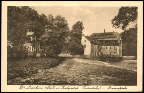 Ansichtskarte Lauenhain-Mittweida Lauenhainer Mühle Zschopautal 1921