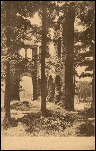 Ansichtskarte Mittweida Zschopauburg Ruine Bäume 1921