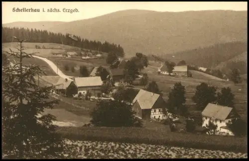 Ansichtskarte Schellerhau-Altenberg (Erzgebirge) Stadtpartie 1920
