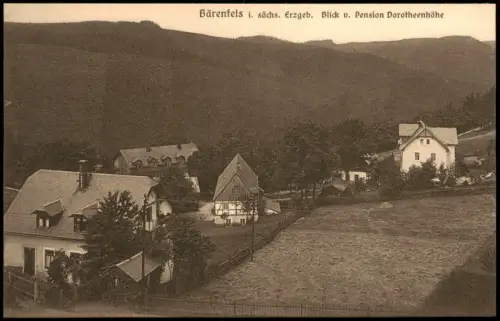 Bärenfels Erzgebirge Altenberg   Blick v. Pension Dorotheenhöhe 1920