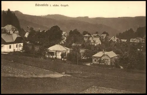 Bärenfels (Erzgebirge)-Altenberg (Erzgebirge) Ortspartie Häuser 1920