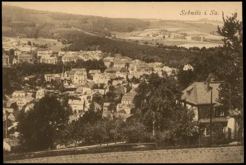 Ansichtskarte Sebnitz Blick auf die Stadt 1920