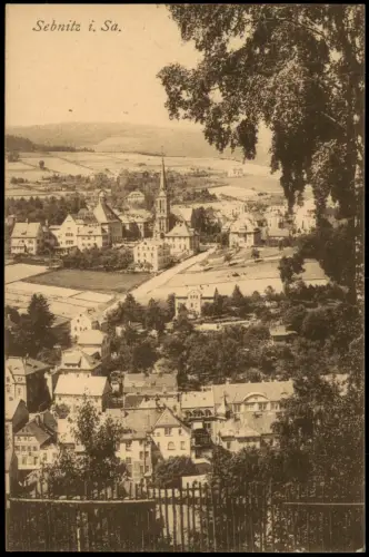 Ansichtskarte Sebnitz Stadt und Straßenblick 1920