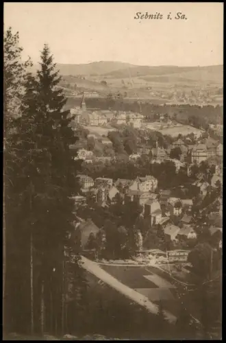 Ansichtskarte Sebnitz Blick vom Berg auf die Stadt 1920