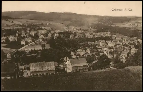 Ansichtskarte Sebnitz Partie an der Stadt 1920