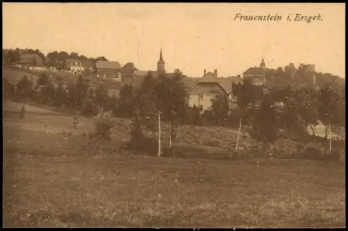 Ansichtskarte Frauenstein (Erzgebirge) Ortspartie 1921